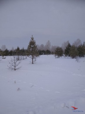 Баженово ул Южная д 7 в Видном - vidnoe.yutvil.ru - фото 5 Баженово ул Южная д 7 в Видном - vidnoe.yutvil.ru - фото 5