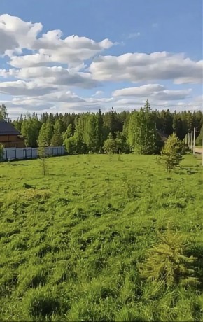 ДП Родной в Видном - vidnoe.yutvil.ru - фото 3