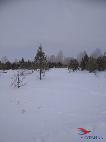 Земельный участок поселок Баженово в Видном - vidnoe.yutvil.ru - фото 5 Земельный участок поселок Баженово в Видном - vidnoe.yutvil.ru - фото 5