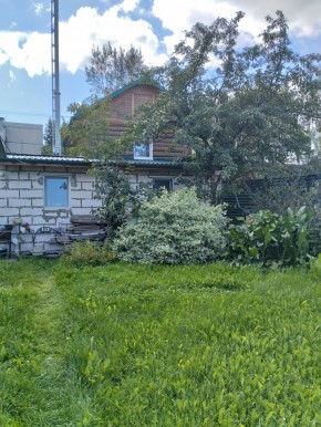 Коллективный сад номер 7, участок 58 в Видном - vidnoe.yutvil.ru - фото 21 Коллективный сад номер 7, участок 58 в Видном - vidnoe.yutvil.ru - фото 21