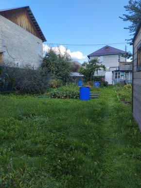 Коллективный сад номер 7, участок 58 в Видном - vidnoe.yutvil.ru - фото 26 Коллективный сад номер 7, участок 58 в Видном - vidnoe.yutvil.ru - фото 26