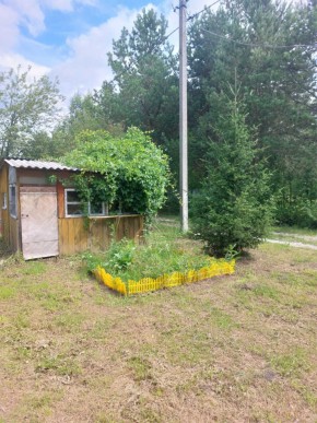 СНТ Родники в Видном - vidnoe.yutvil.ru - фото 1