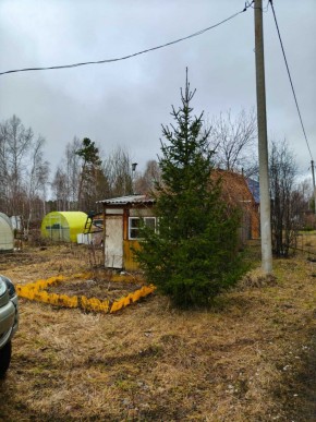 СНТ Родники в Видном - vidnoe.yutvil.ru - фото 5
