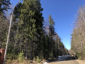 ул. Калиновая,9 в Видном - vidnoe.yutvil.ru - фото 3