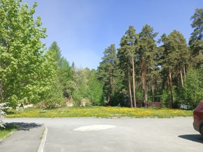 ул. Сосновая, 8 в Видном - vidnoe.yutvil.ru - фото 26