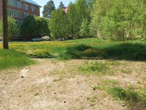 ул. Сосновая, 8 в Видном - vidnoe.yutvil.ru - фото 33